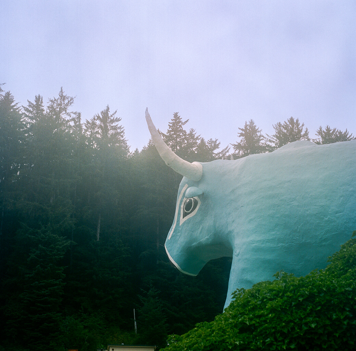 Babe, The Blue Ox