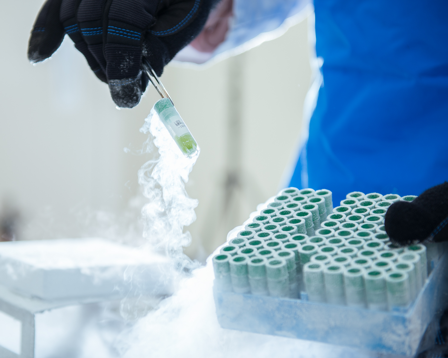 Bio lab closeup of frozen viles and vapor