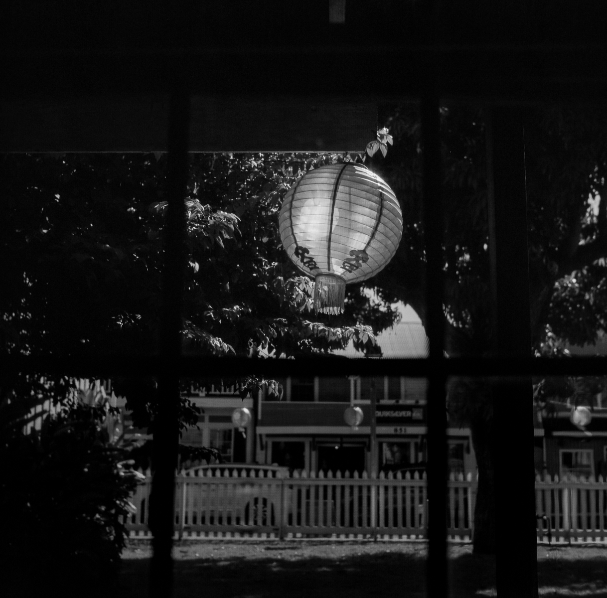 Chinese lantern, Lahaina