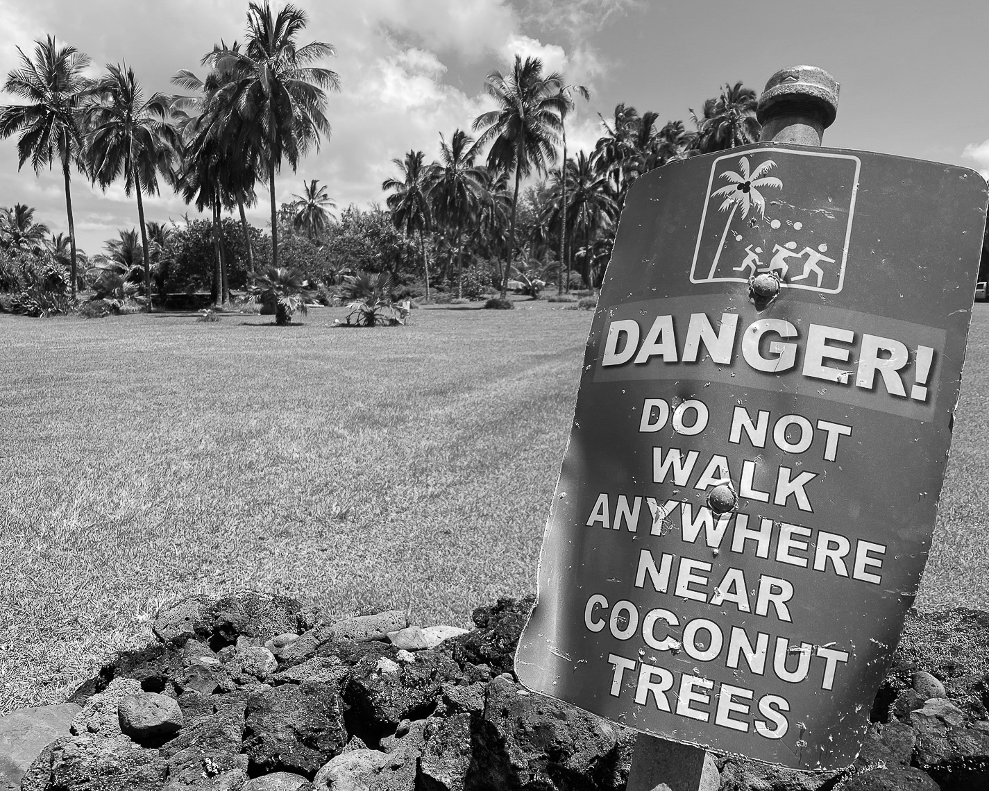 Danger, Falling Coconuts