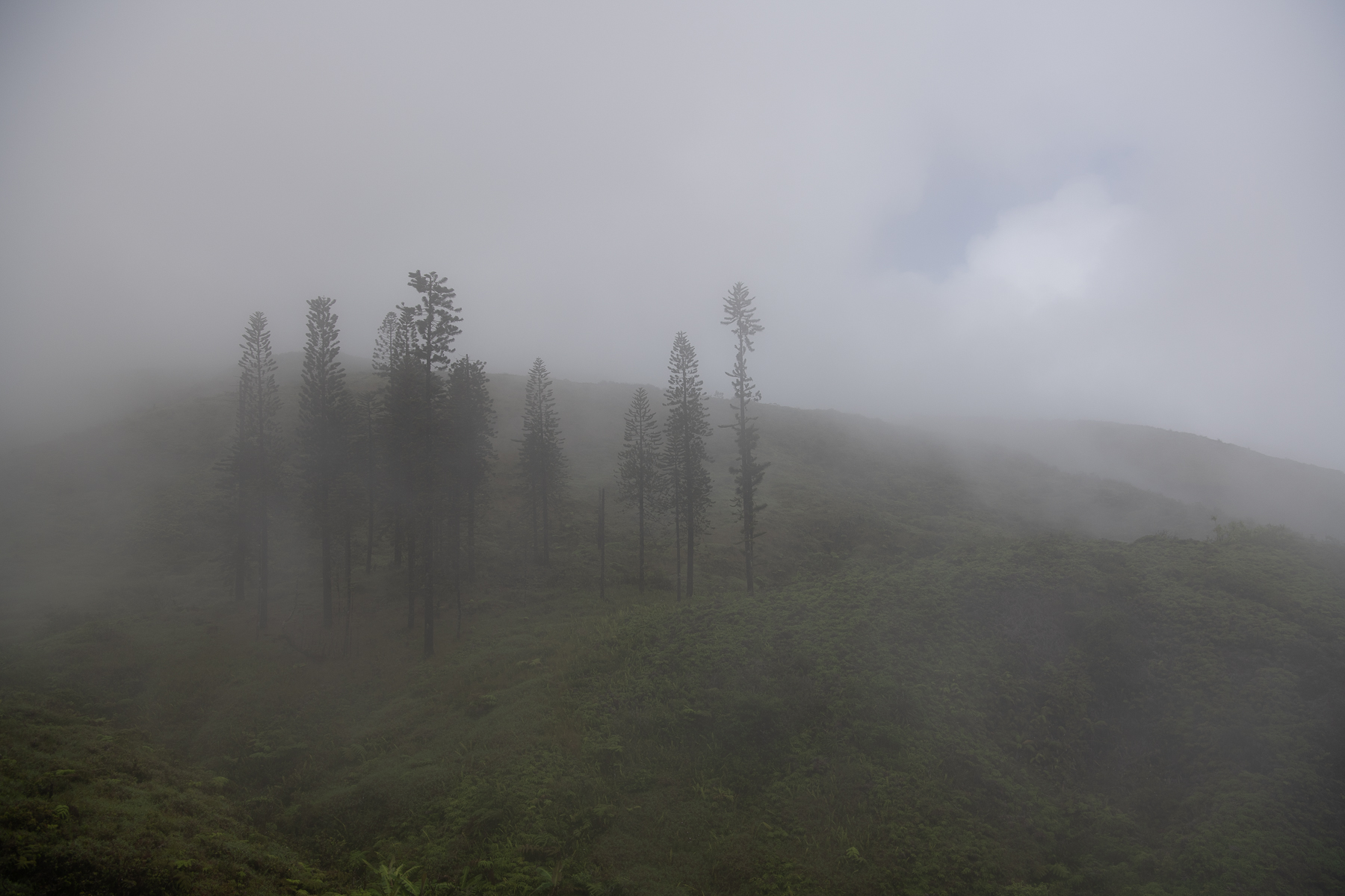 Waihee Ridge Trail