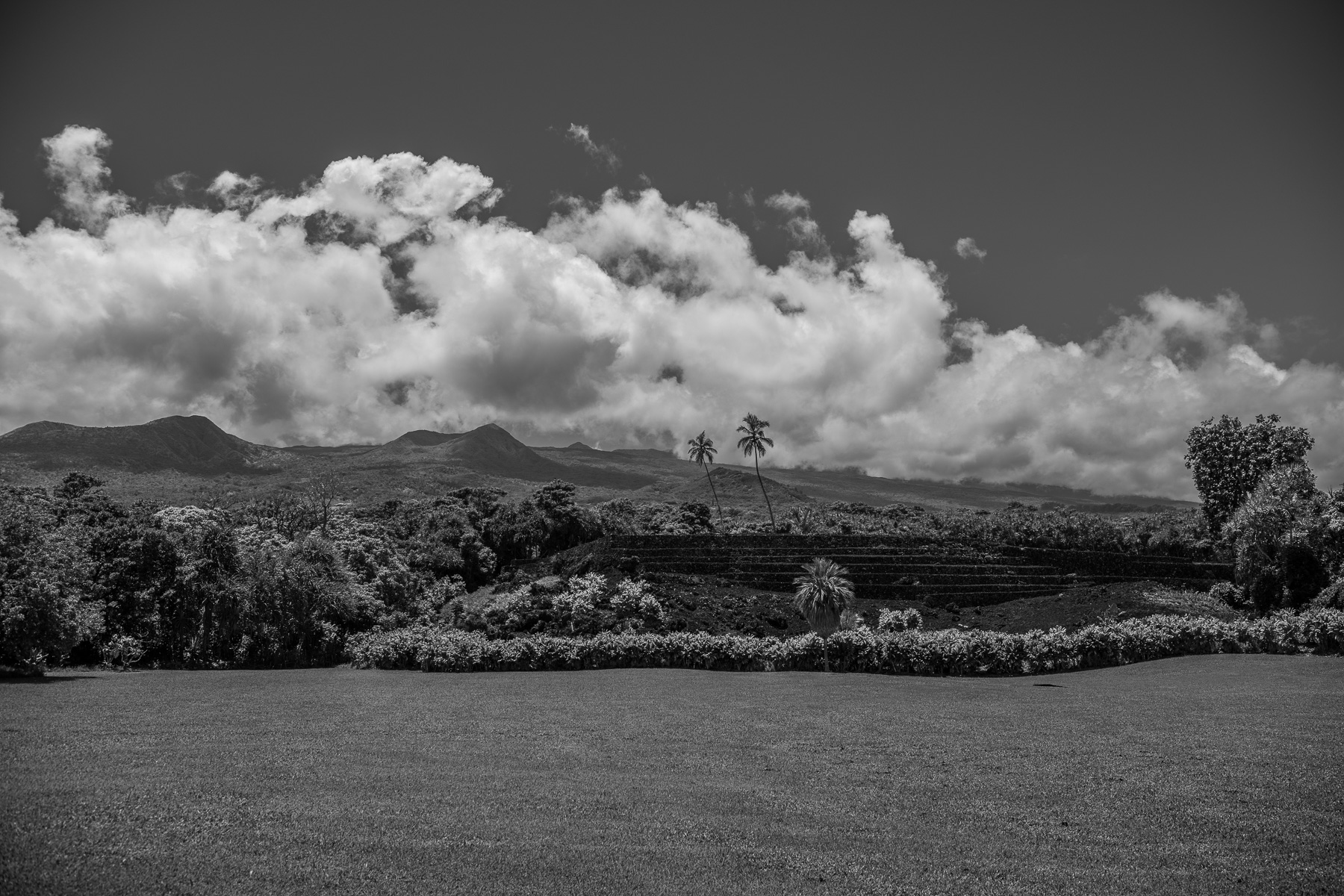 Kahanu Garden, National Tropical Botanical Garden